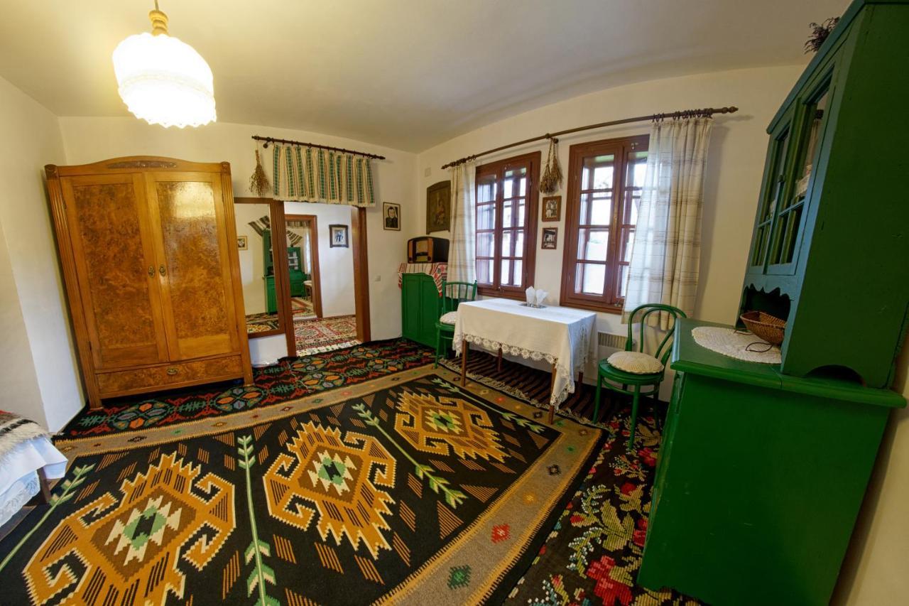 הוילה ואמה Casa Bunicii Din Bucovina מראה חיצוני תמונה