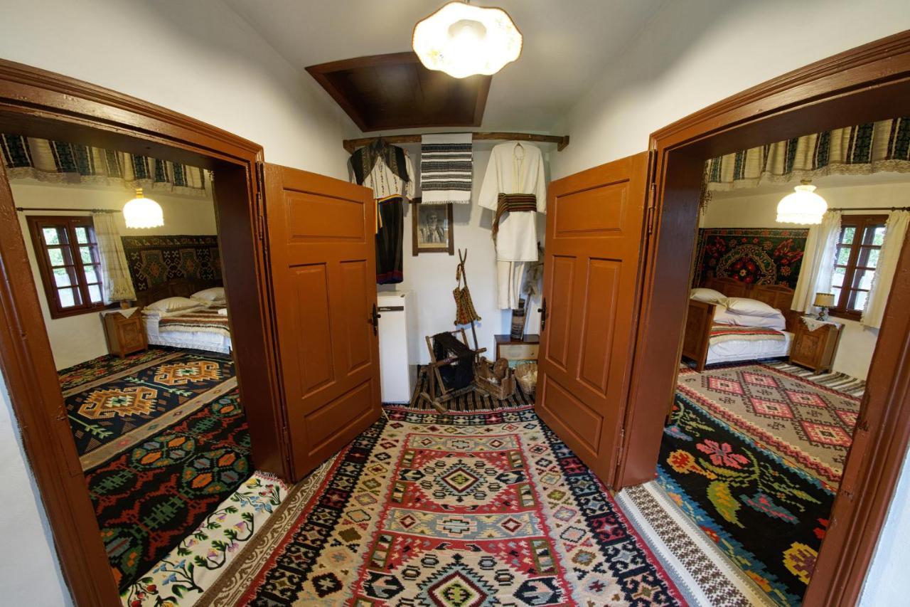 הוילה ואמה Casa Bunicii Din Bucovina מראה חיצוני תמונה