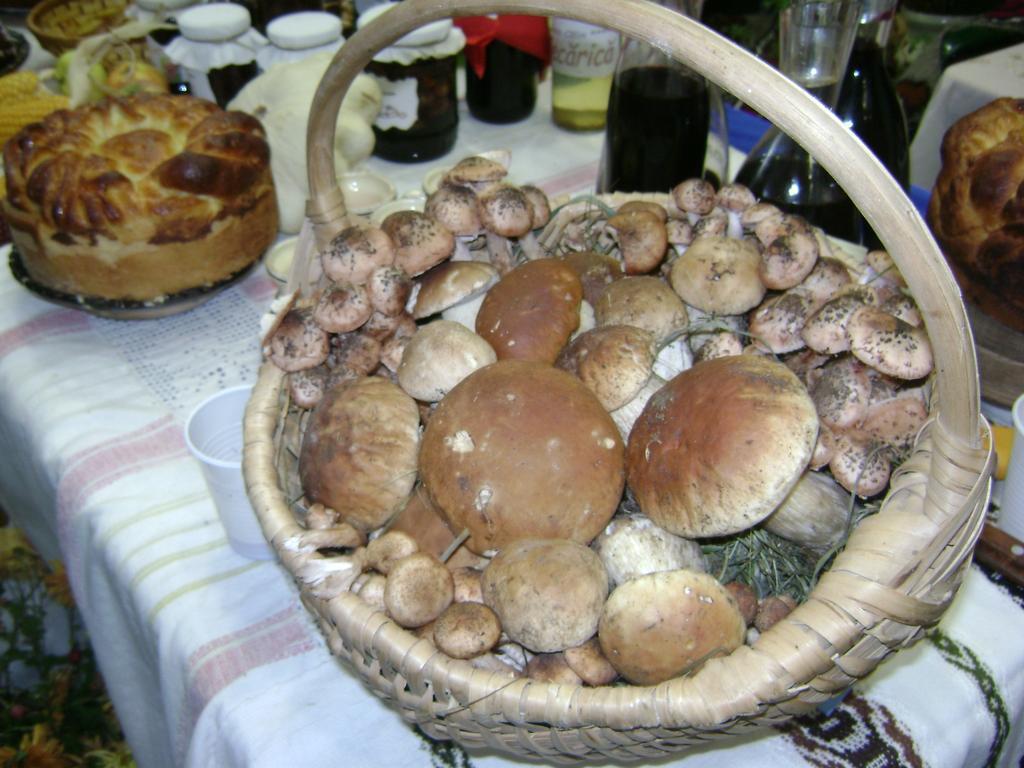 הוילה ואמה Casa Bunicii Din Bucovina חדר תמונה
