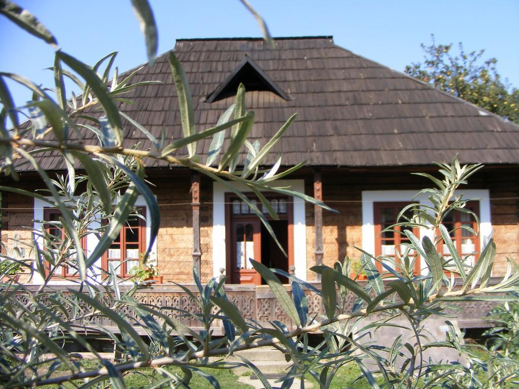 הוילה ואמה Casa Bunicii Din Bucovina מראה חיצוני תמונה