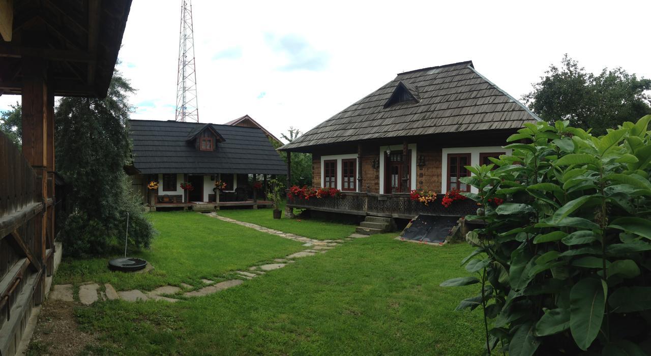 הוילה ואמה Casa Bunicii Din Bucovina מראה חיצוני תמונה